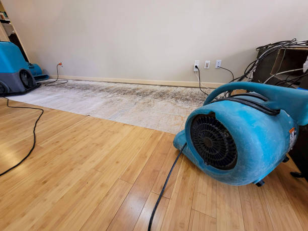 Professional Structural Drying technician working in Coalfield, TN